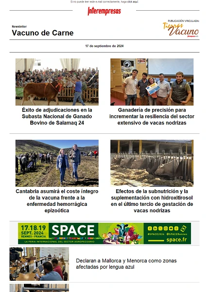 Newsletter Vacuno de Carne