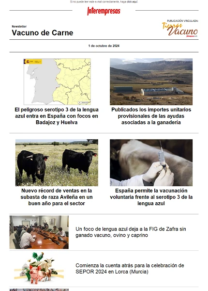 Newsletter Vacuno de Carne