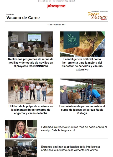 Newsletter Vacuno de Carne