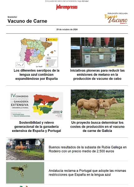 Newsletter Vacuno de Carne