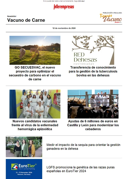 Newsletter Vacuno de Carne