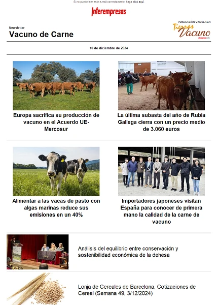 Newsletter Vacuno de Carne