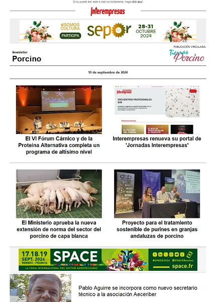 Newsletter Porcino