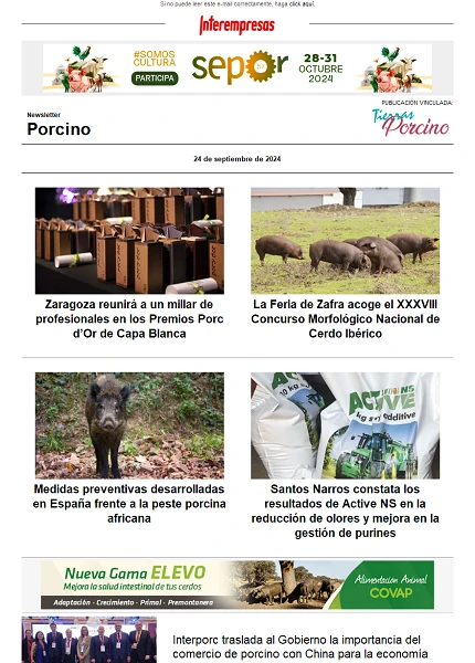 Newsletter Porcino