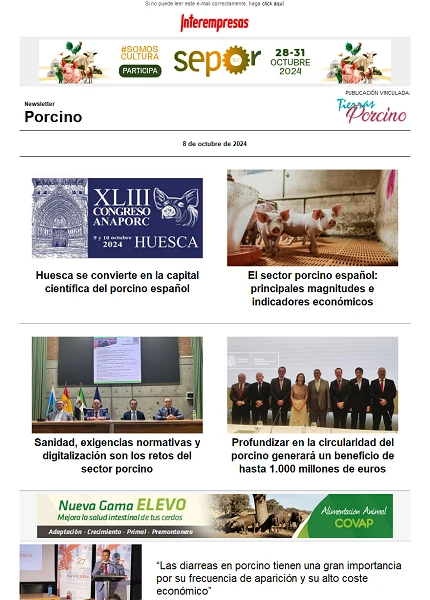 Newsletter Porcino