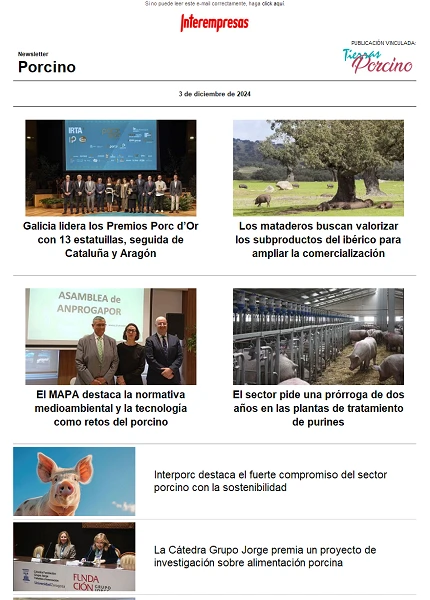 Newsletter Porcino