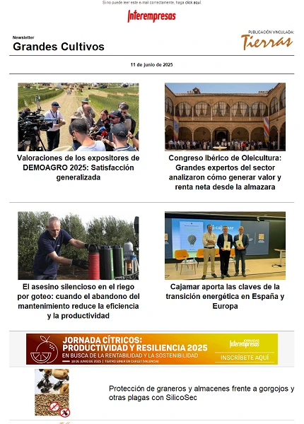 Newsletter Grandes Cultivos