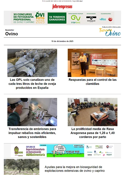 Newsletter Ovino