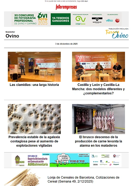Newsletter Ovino