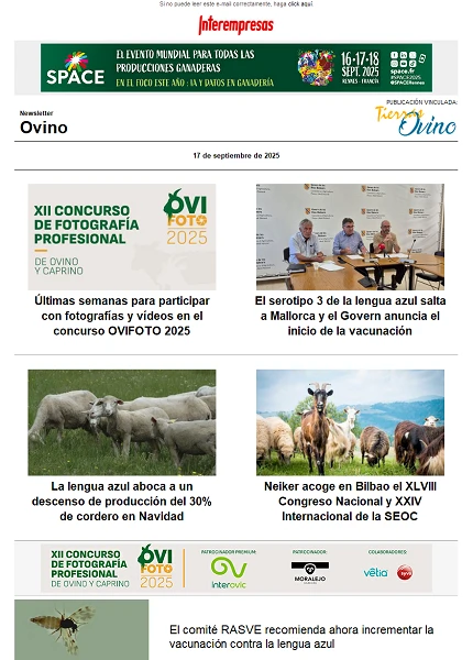 Newsletter Ovino