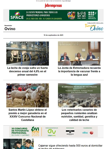 Newsletter Ovino