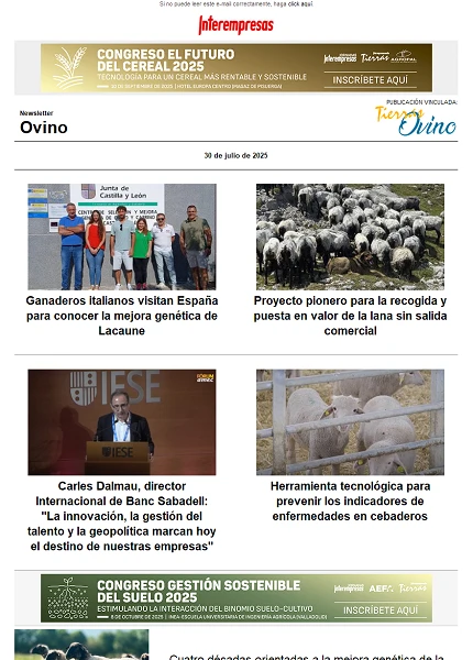 Newsletter Ovino