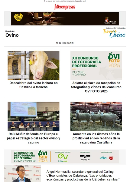 Newsletter Ovino