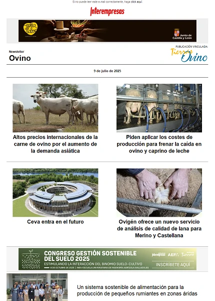 Newsletter Ovino