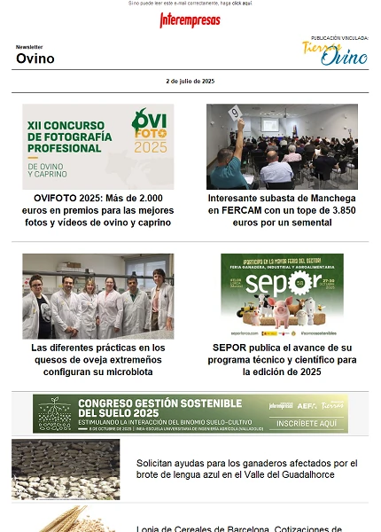 Newsletter Ovino