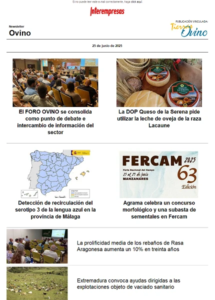 Newsletter Ovino