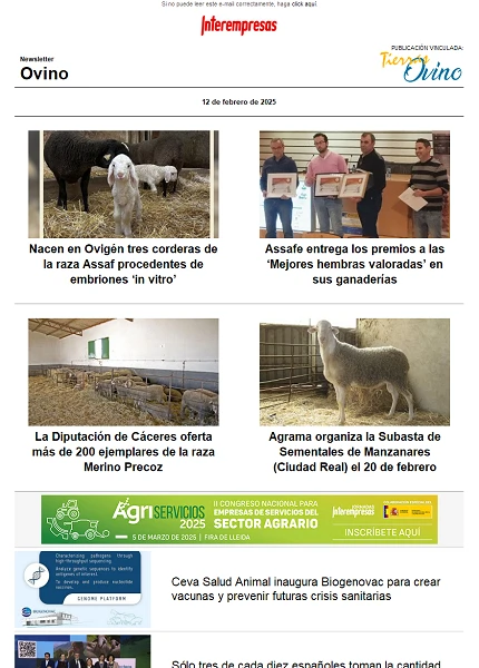 Newsletter Ovino