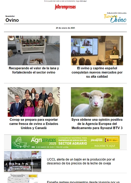 Newsletter Ovino