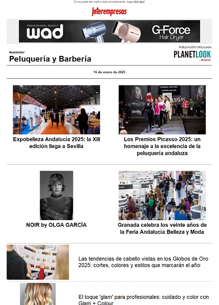 Newsletter Peluquería