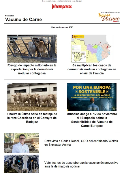 Newsletter Vacuno de Carne