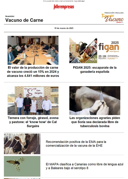 Newsletter Vacuno de Carne