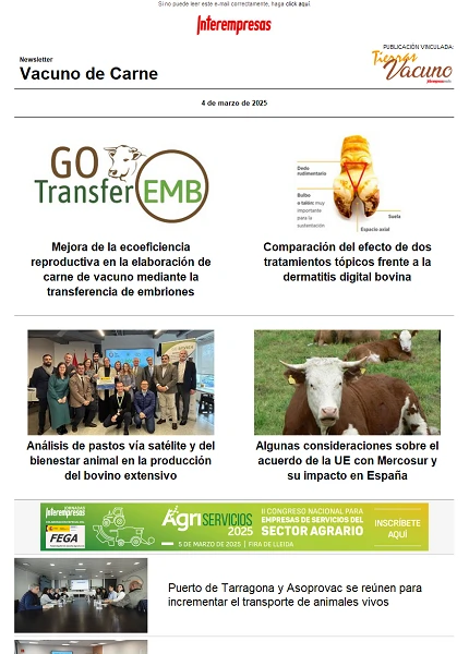 Newsletter Vacuno de Carne