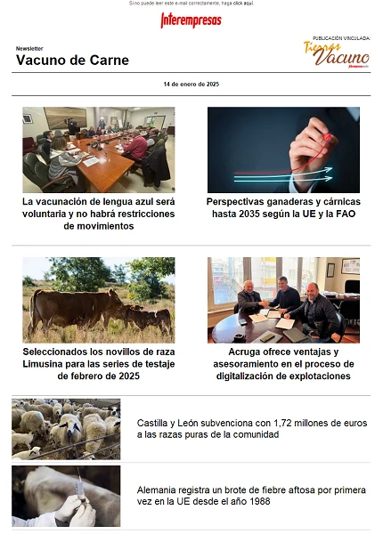 Newsletter Vacuno de Carne