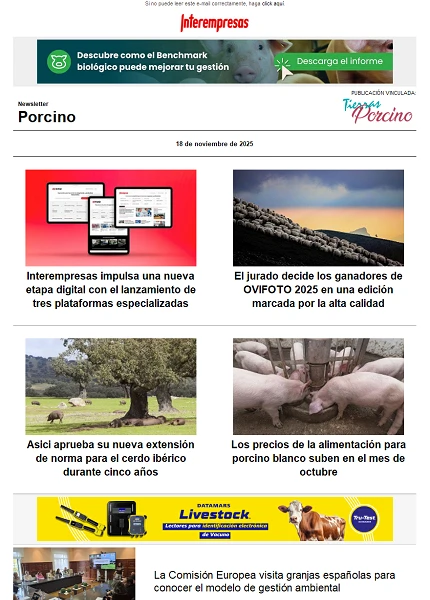 Newsletter Porcino Newsletter Porcino