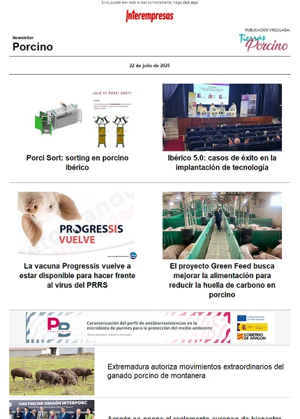 Newsletter Porcino