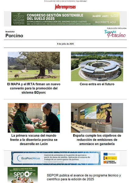 Newsletter Porcino