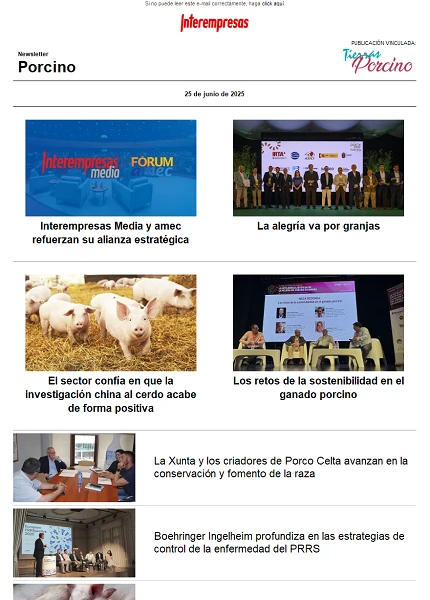 Newsletter Porcino