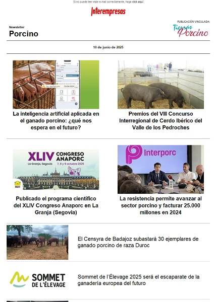 Newsletter Porcino
