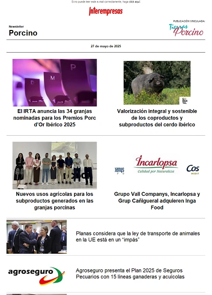 Newsletter Porcino