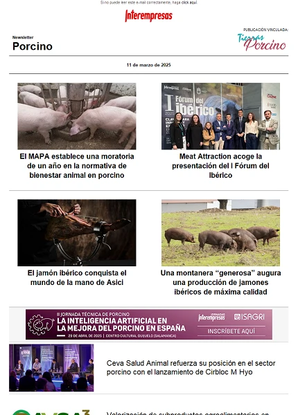 Newsletter Porcino