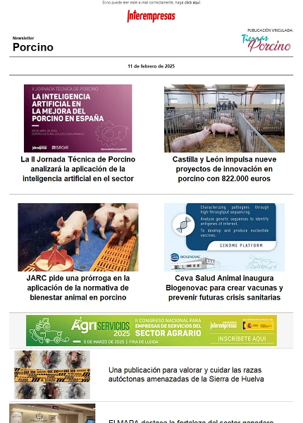 Newsletter Porcino