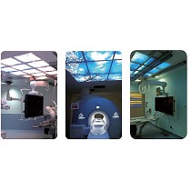 Ceiling light magnetic