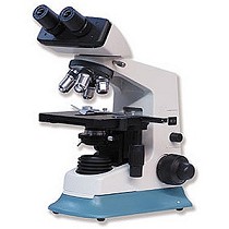 Microscopios binoculares