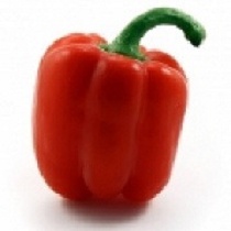 Sistemas de plantaci�n intermedia de pimientos Kubo 