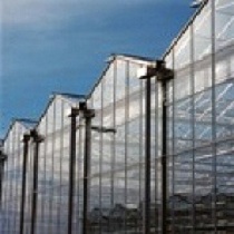 Servicio de asesoramiento sobre invernaderos Kubo