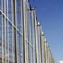 Invernaderos comerciales Kubo Venlo