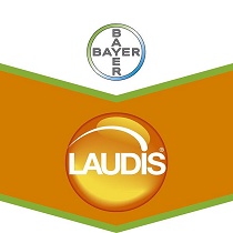 Herbicidas Bayer Laudis
