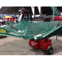 Recolectores de aceitunas