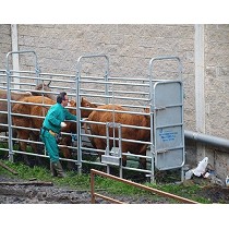 Mangas de saneamiento