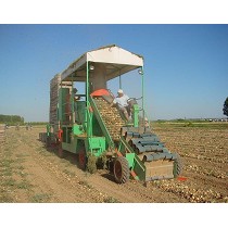 Recogedoras de cebolla y patata autopropulsadas