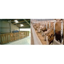 Centrfugas para la industria ganadera