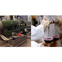 Centrfugas para la industria vitivincola