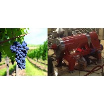Centrfugas para la industria vitivincola