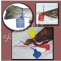 Precintos de identificacin