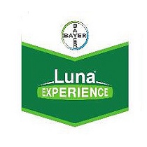 Fungicidas Bayer Luna Experience