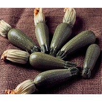 Semillas de calabacn blanco